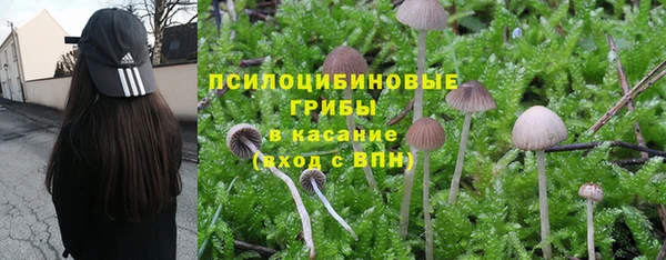 метадон Армянск