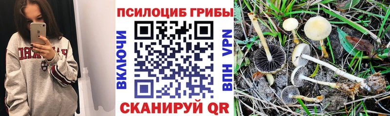 Псилоцибиновые грибы MAGIC MUSHROOMS  Белокуриха 